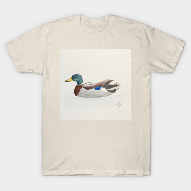 Mallard duck drake T-Shirt by Matt Starr Fine Art